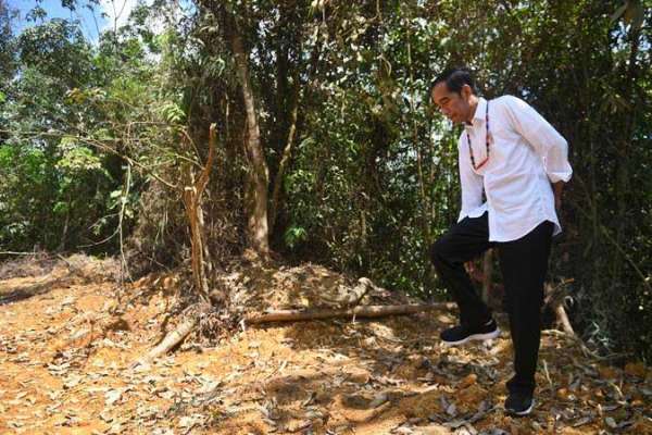 Presiden Joko Widodo berjalan di kawasan hutan saat meninjau salah satu lokasi calon ibu kota negara di Gunung Mas, Kalimantan Tengah, Rabu (8/5 - 2019). (Antara/Akbar Nugroho Gumay)