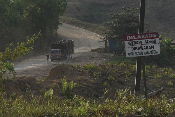 Lahan Hutan Tanaman Industri (HTI) milik ITCI Hutani Manunggal di Penajam Paser Utara, Kalimantan Timur, Rabu (28/8/2019). (Antara/Akbar Nugroho Gumay)