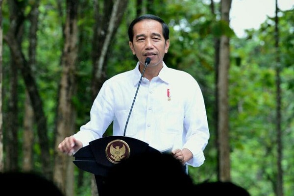 Jokowi Cek Calon Ibu Kota Baru di Kalimantan