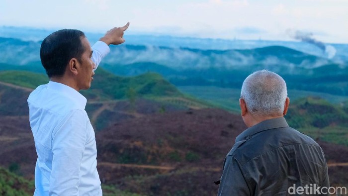 Presiden Jokowi (kiri) saat meninjau lokasi calon ibu kota baru di Kalimantan Timur (detik)