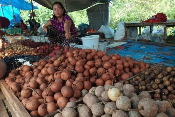 Musim Buah Lokal Jadi Berkah Pedagang Musiman di Kalimantan Tengah