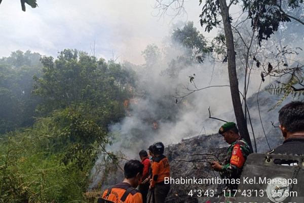BMKG: Kalimantan Utara Rawan Kebakaran Hutan dan Lahan