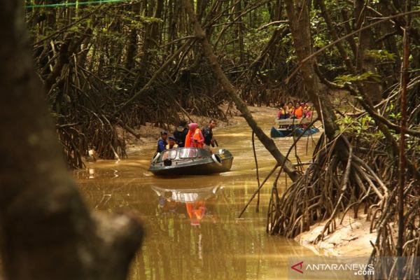 Polri dan TNI Tanam 10.000 Mangrove di Pesisir Kalimantan Timur