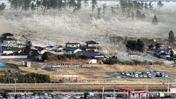 BMKG: Potensi Risiko Tsunami di Ibu Kota Baru Bantu Siapkan Mitigasi Bencana