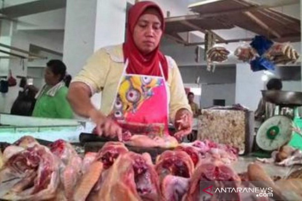 Harga Ayam Potong di Pasar Tradisional Penajam Paser Utara Turun