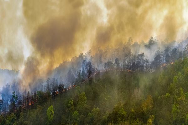 BPBD Kabupaten Penajam Siap Siaga Antisipasi Kebakaran Hutan dan Lahan