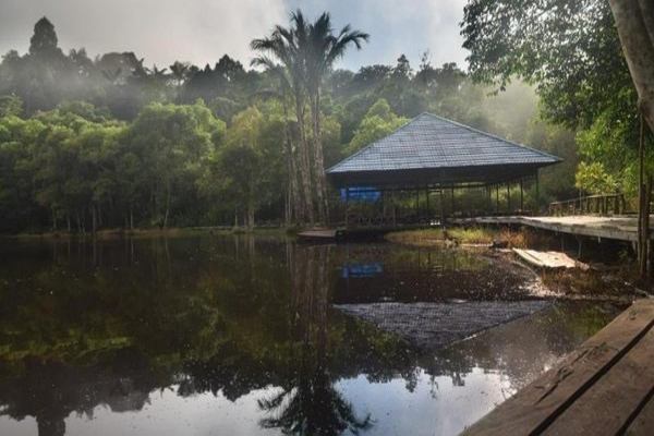 Menikmati Kesejukan Danau dan Hutan Hujan Tropis di Kutai Barat
