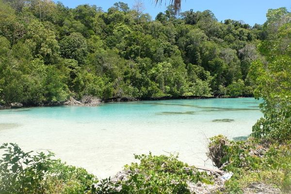 Siap-Siap Terpukau Keindahan Laguna di Kepulauan Derawan