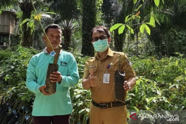 Disbun Kaltim Lakukan Penilaian Kinerja ke Kabupaten/Kota terkait Perkebunan Daerah